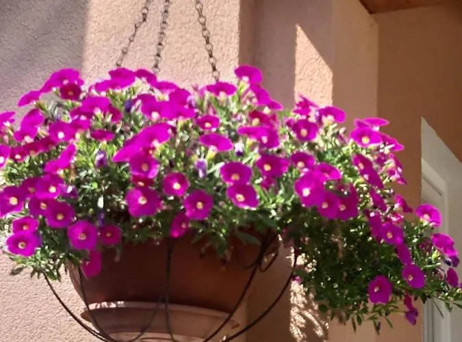 Dora Apartament Poreč