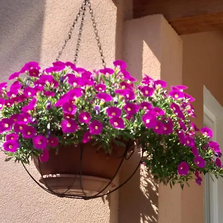 Dora 公寓 波雷奇