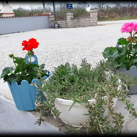 Dora * Porec